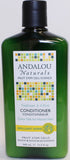 Andalou Naturals Brilliant Shine Conditioner - Sunflower & Citrus