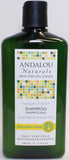 Andalou Naturals Brilliant Shine Shampoo - Sunflower & Citrus